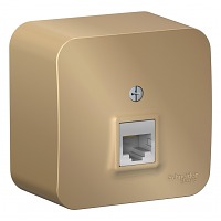 ������� �/� 1-� ������������ RJ45 ���.5E ����� BLNIA045004 BLANCA Schneider Electric