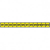   "SF1 - SF12" (12) TDM