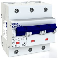   OptiDin BM125-3C80-8ln-3 