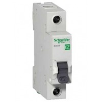 1 25 EZ9F34125 () Schneider Electric 