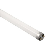 ����� ������������ �������� PLED T8-600GL 10w FROST 4000K G13 800�� ������ Jazzway